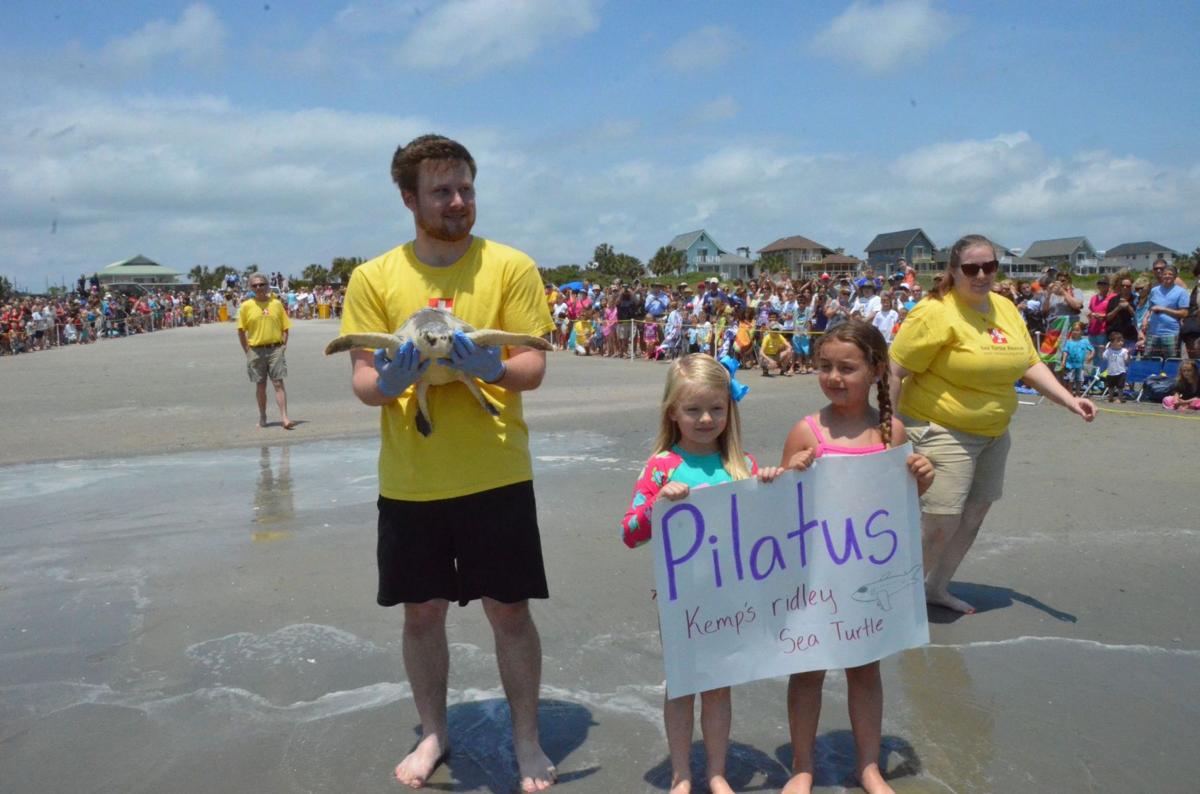 SC Aquarium releases six rehabbed sea turtles