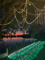 'Every year it’s magical': Historic Georgetown home celebrates the holidays while honoring the past.