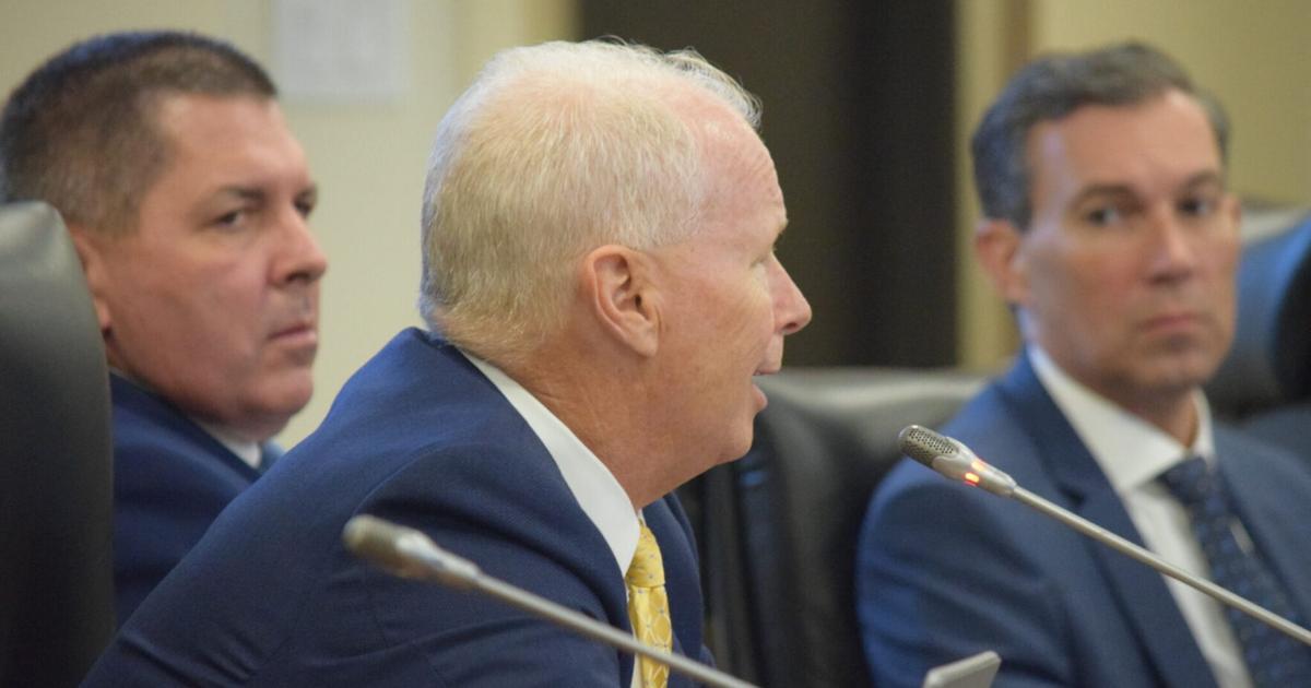 SC approves first $120M for Lowcountry natural gas plant despite ...