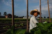 Columbia group of Black women farmers targets agricultural disparities, food inequities