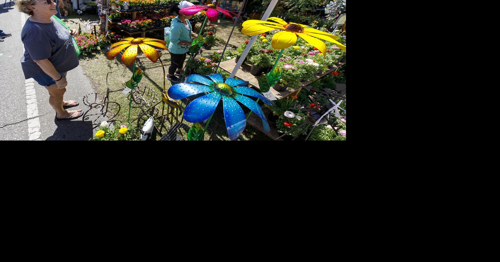 50 many years of Flowertown, one of the most significant arts and crafts festivals of the Southeast | Information