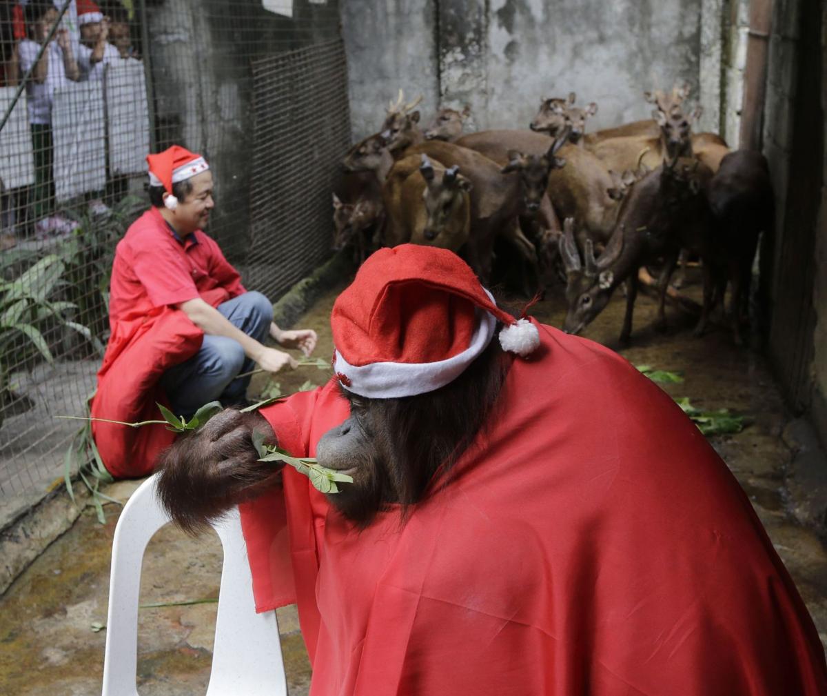 Gallery: Spirit of Santa around the world