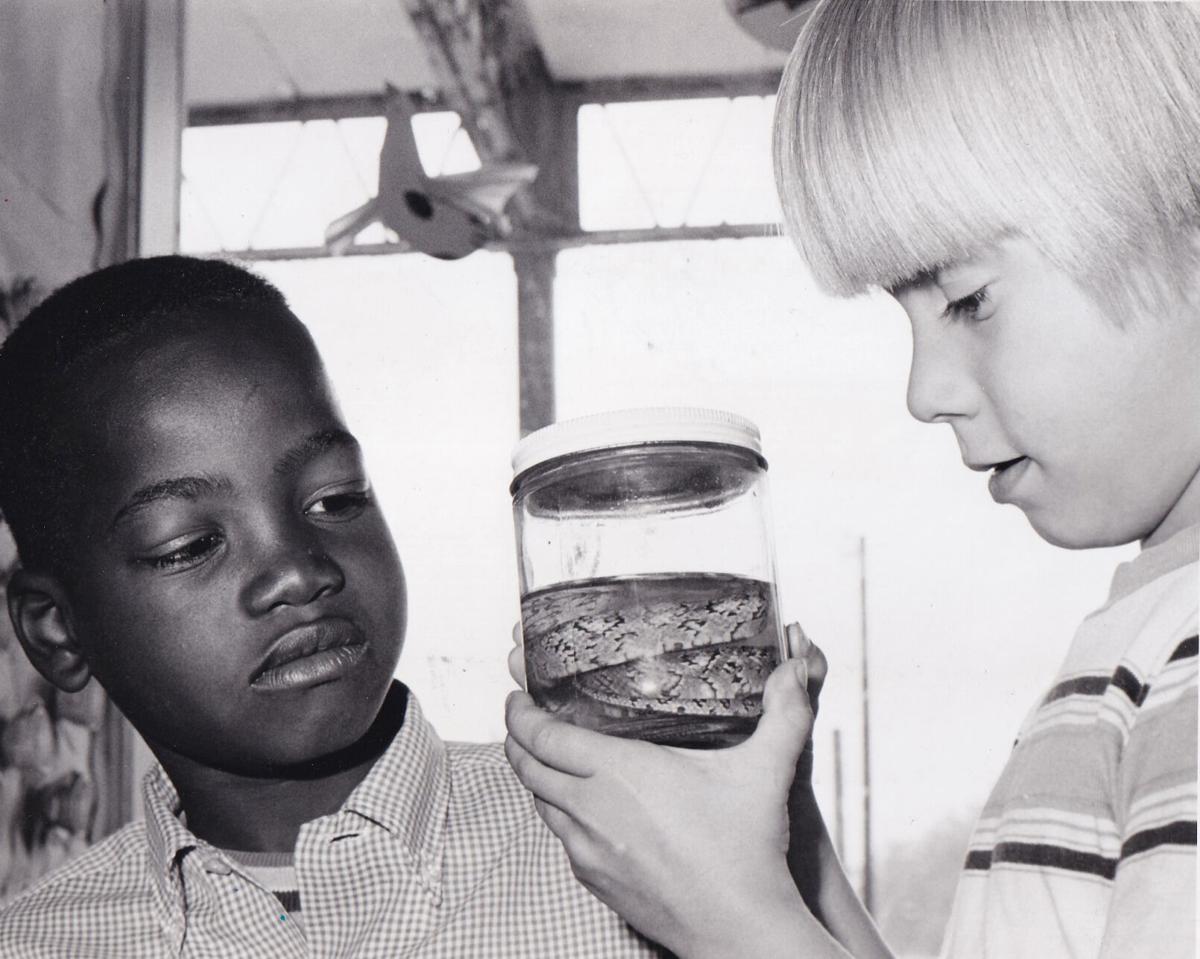 Snake in a jar – April 12
