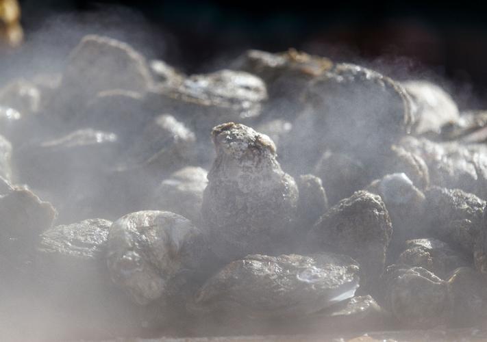 Photos Steaming oysters by the tons eaten by thousands at Lowcountry Oyster Festival