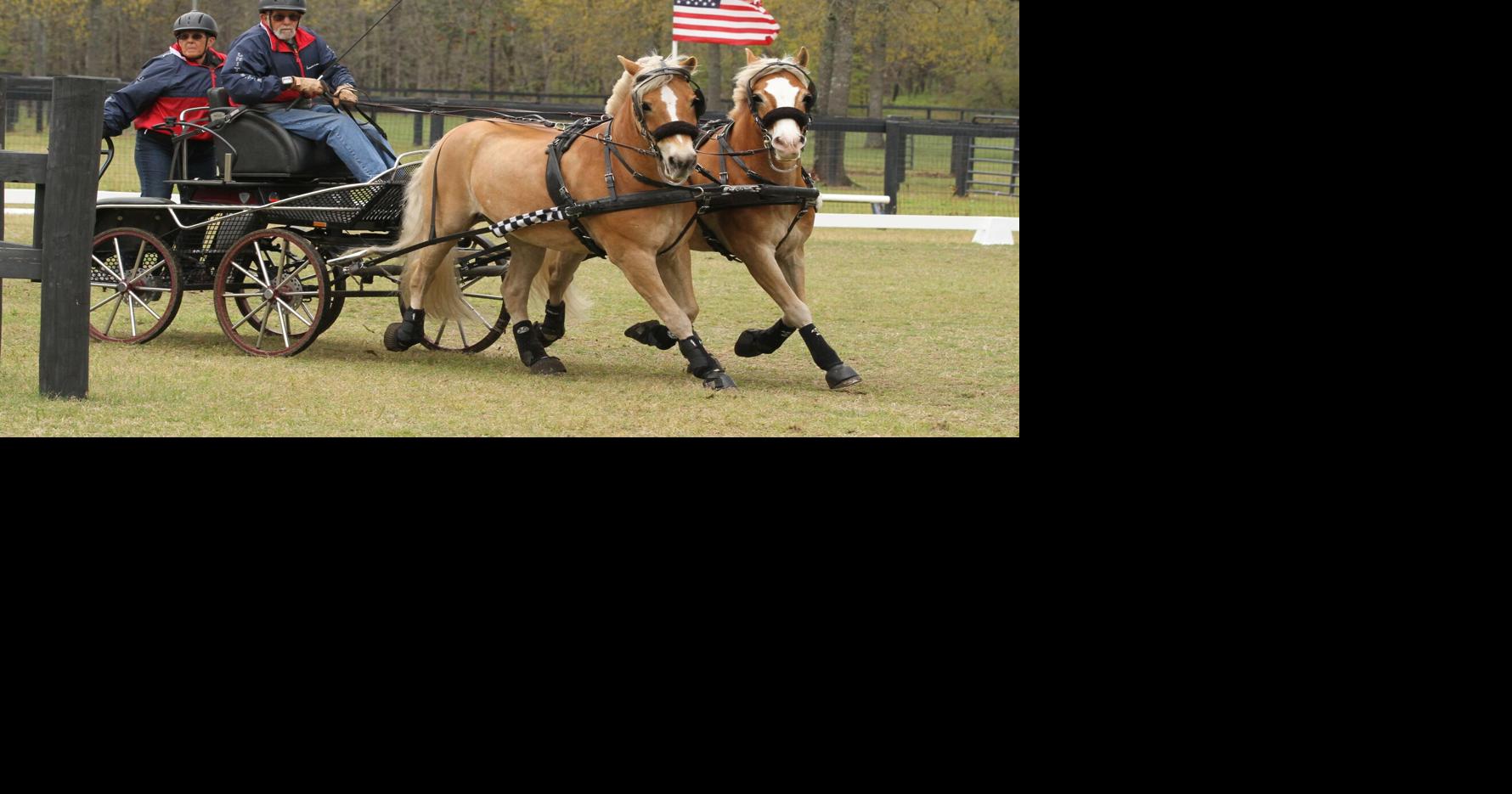 Aiken Driving Club prepares for crowning event Aiken Carriage Classic