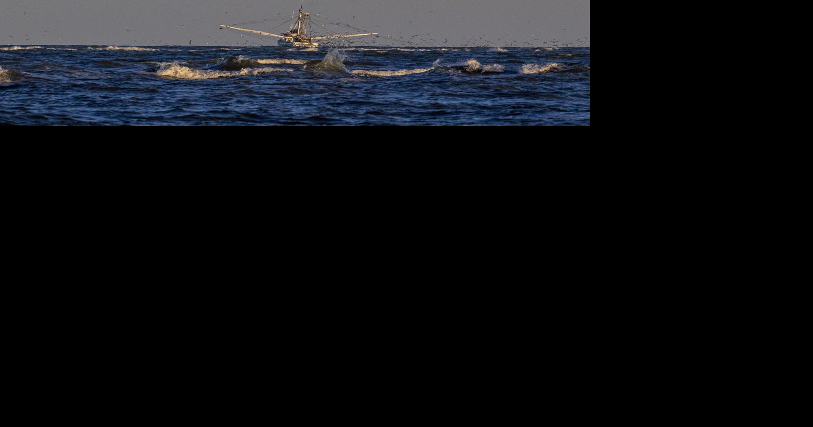 Shrimp in South Carolina’s estuaries are getting pushed around by climate change