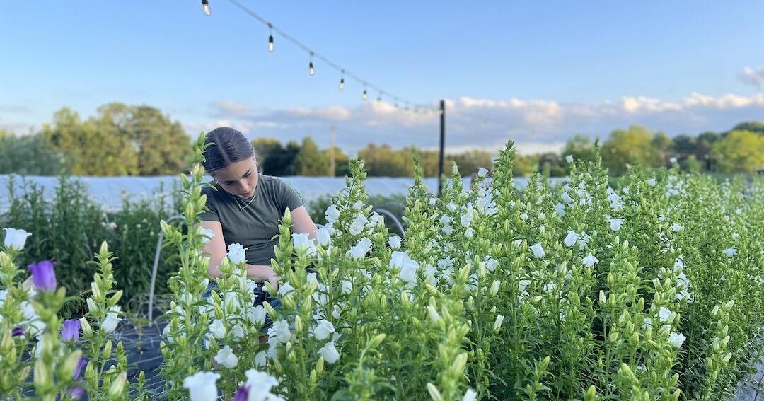Date night: Pick-your-own flowers in oasis near Greenville | Food - Vimarsana News