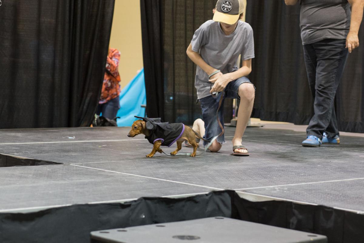 Pet Expo-October 14, 2017-891