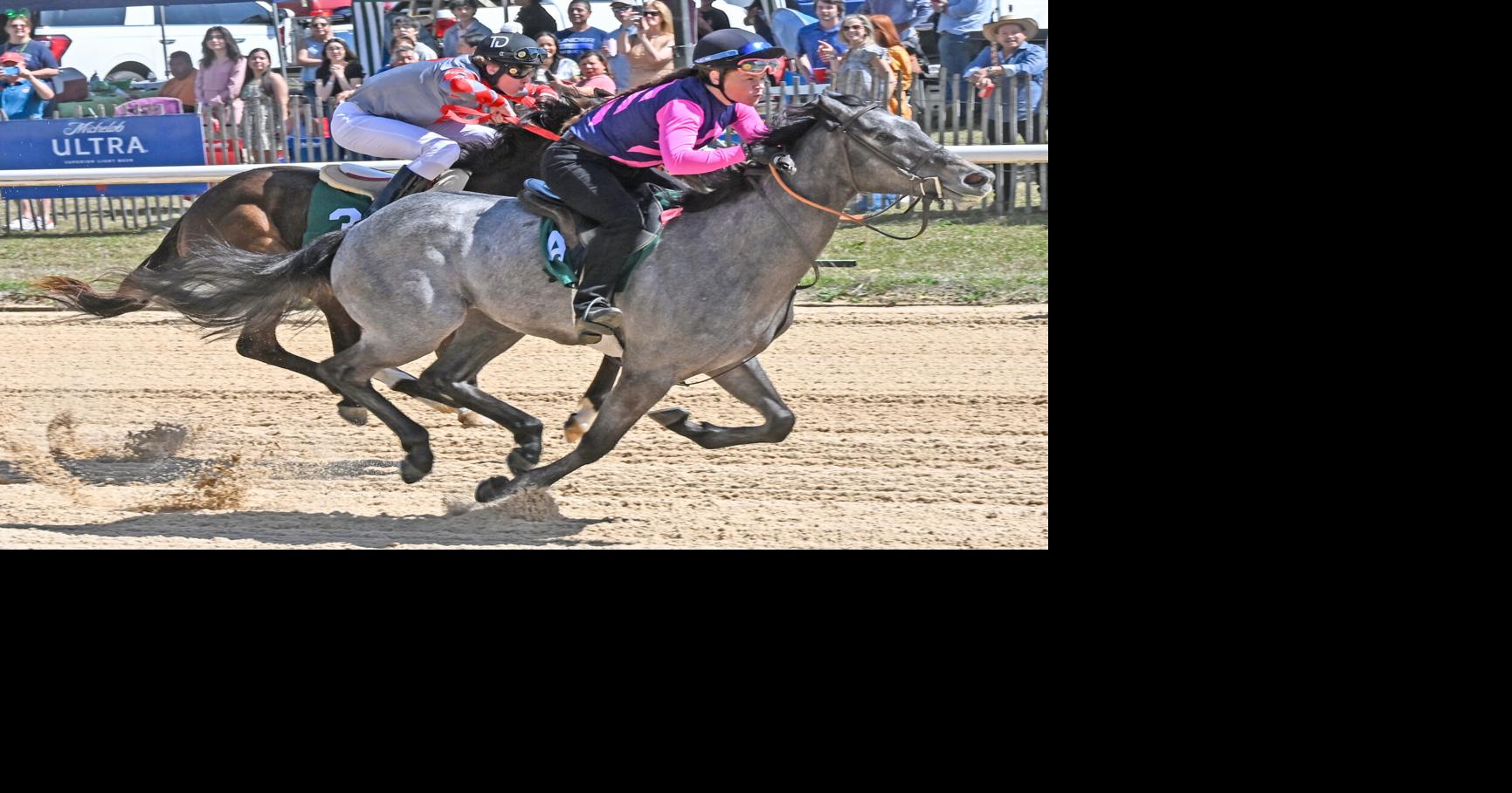 Discover Aiken County: Horses are the stars in these events