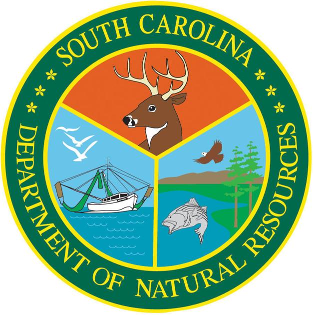 SCDNR investigation leads to charges of illegal harvesting and sale of