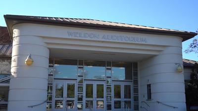 Clarendon County to get suggestions on Weldon use in August | News |  postandcourier.com