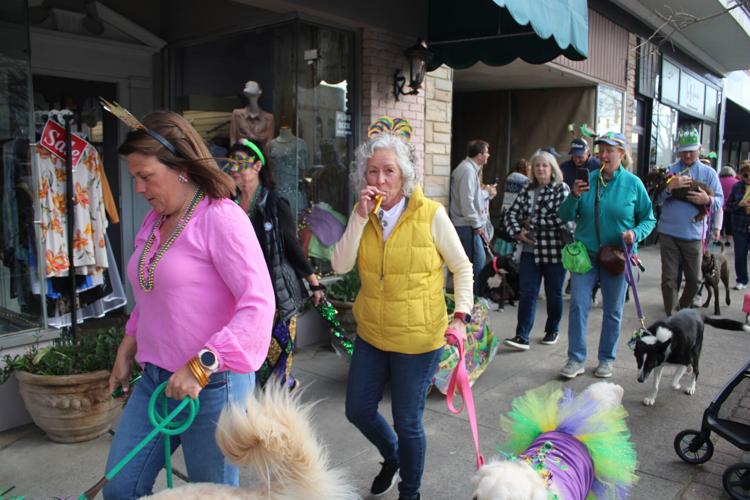 aiken sc mardi gras