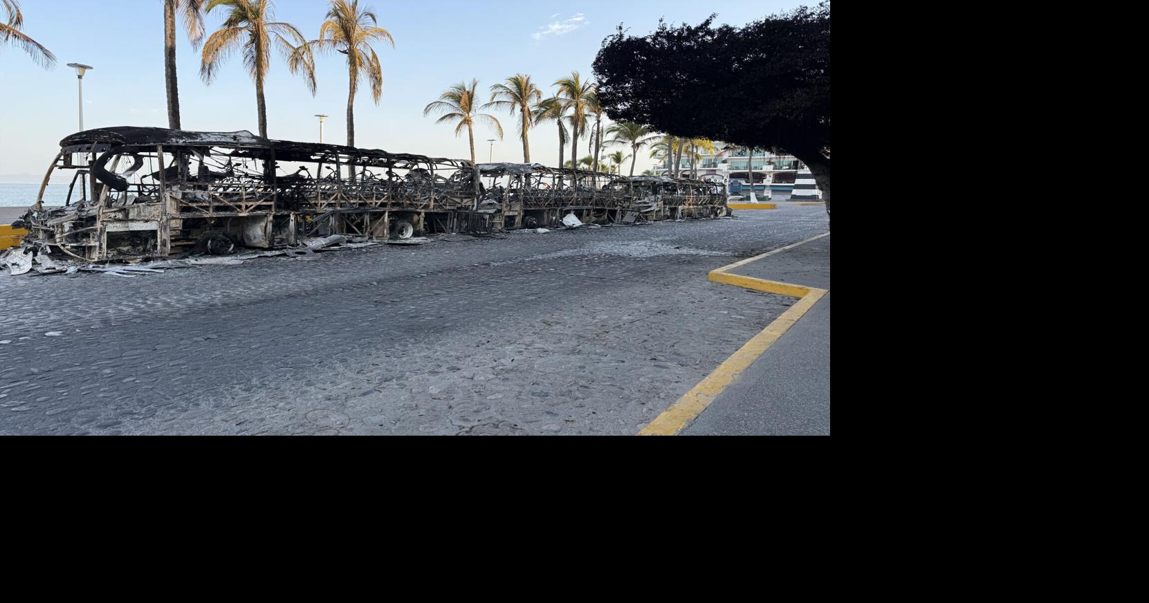 Midlands native, restaurant owner in Puerto Vallarta speaks on cartel violence. ‘It was jolting’