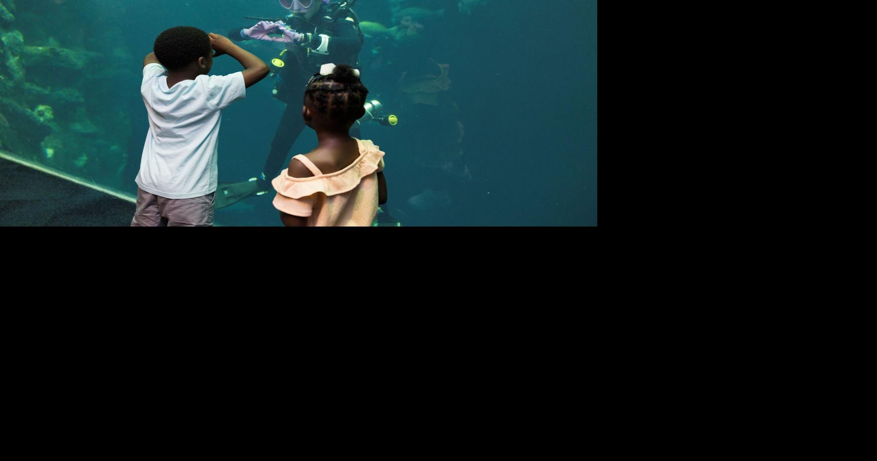 SC Aquarium offers free admission to furloughed federal employees
