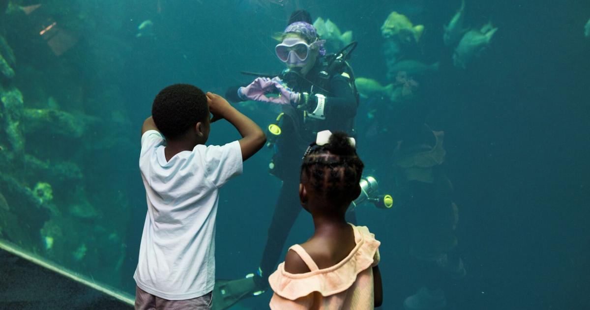 SC Aquarium offers free admission to furloughed federal employees