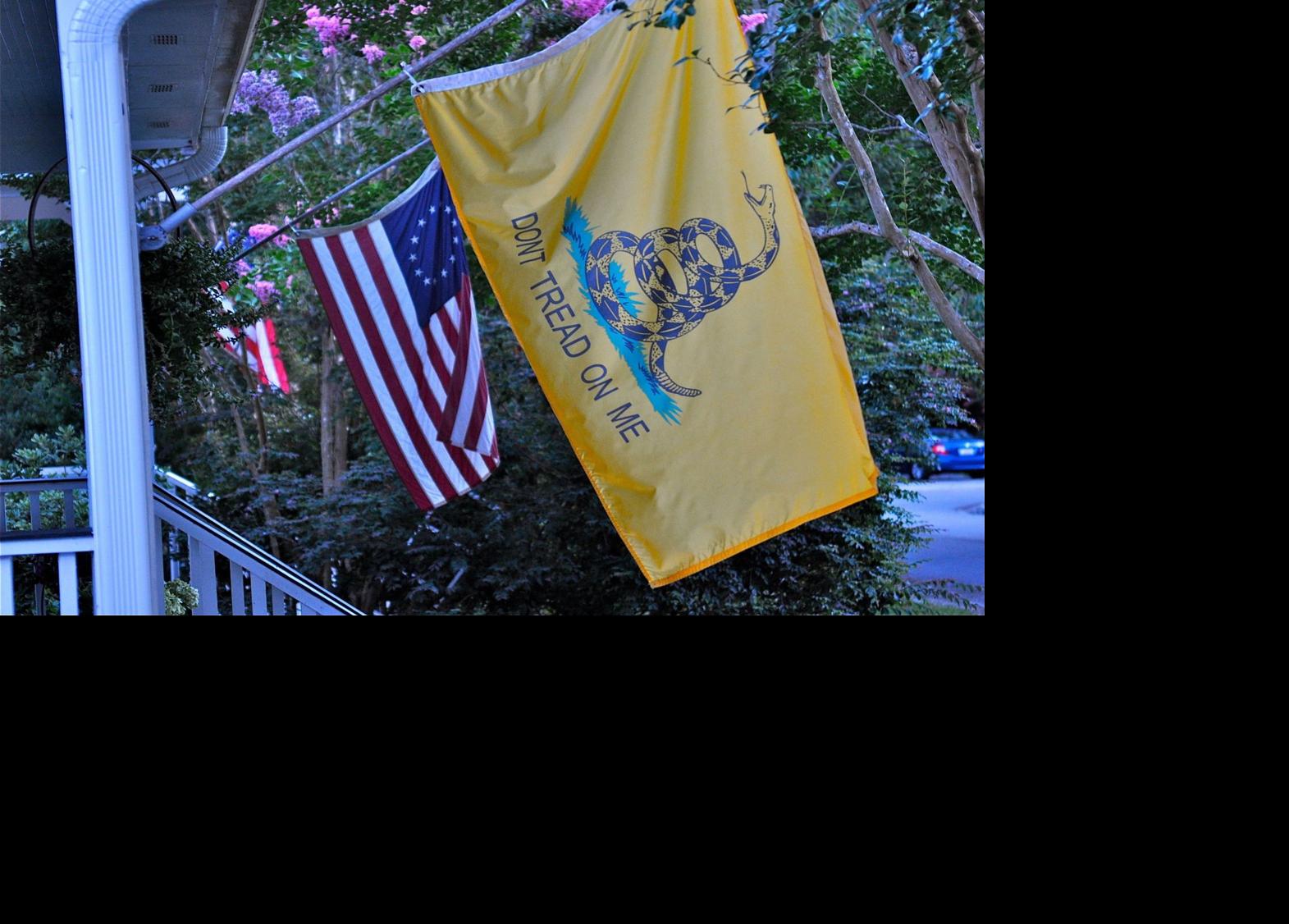 Commentary: Let's take back this national symbol from the radicals who  misappropriated it | Commentary | postandcourier.com