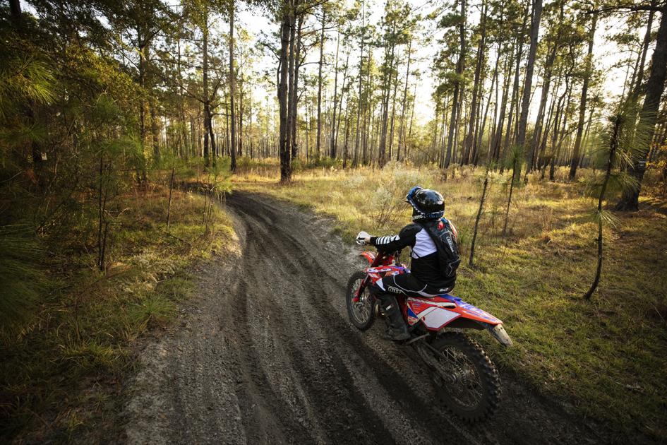The Francis Marion National Forest Home To Hiking Hunting Biking Fishing And More News Postandcourier Com