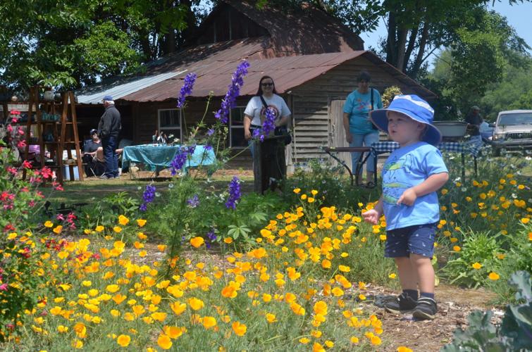 Discover Aiken: Calendar of events in Aiken County News