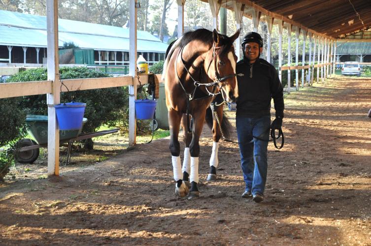 After surviving harrowing trip, colic, Mead Hall makes it to Aiken