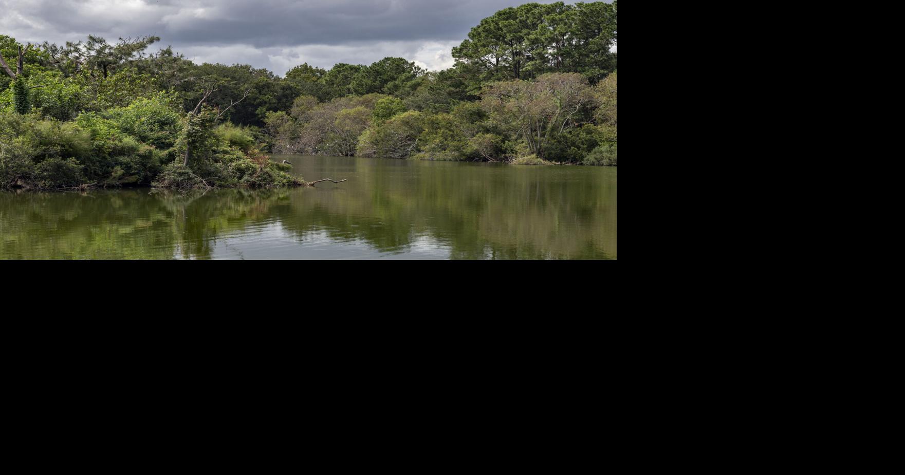 A brief look back at the history of Dill Sanctuary on James Island