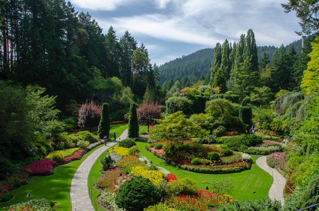 Alan-Koornick Park.jpg