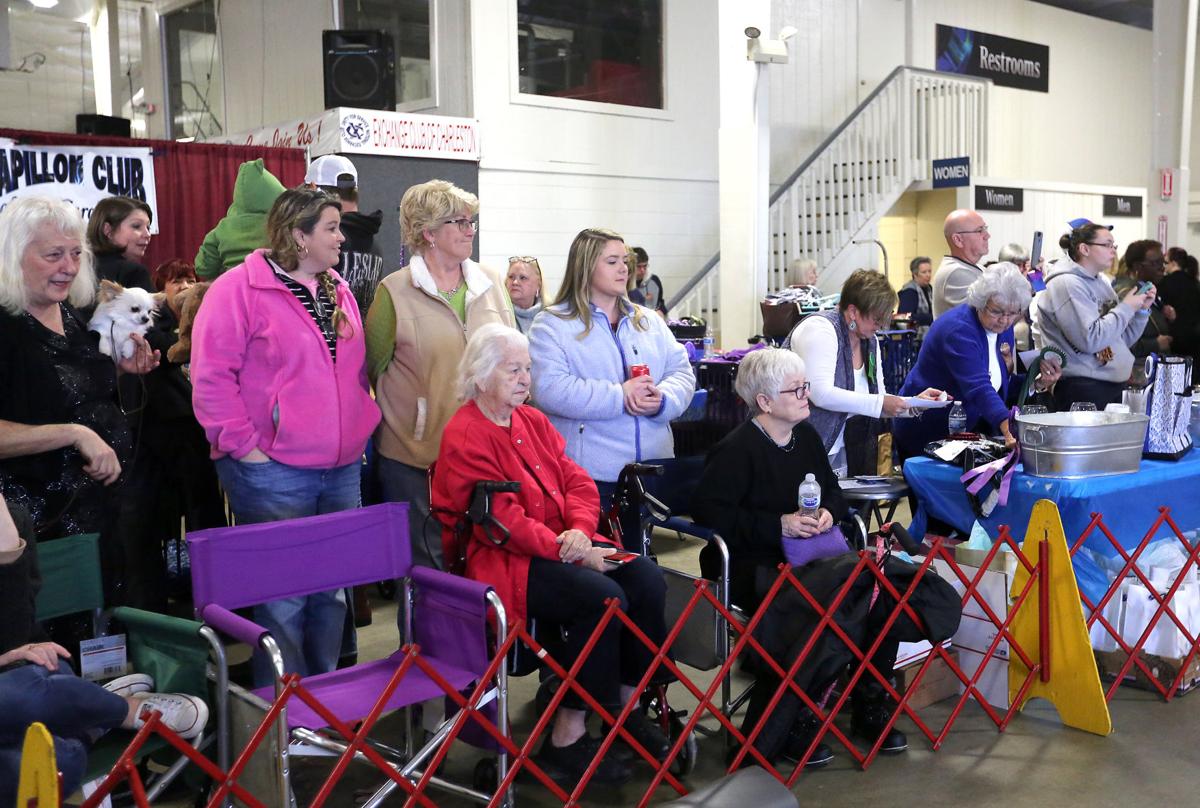 Charleston Kennel Club