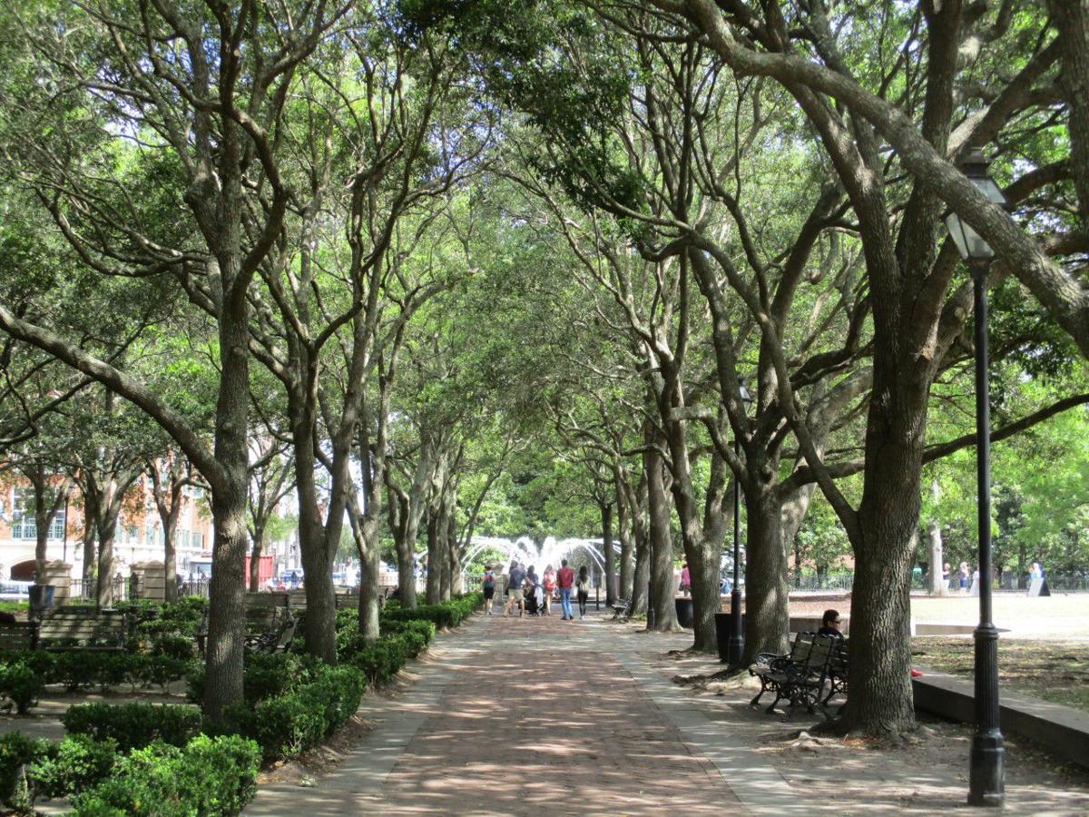 Bill-Smyth Park.jpg