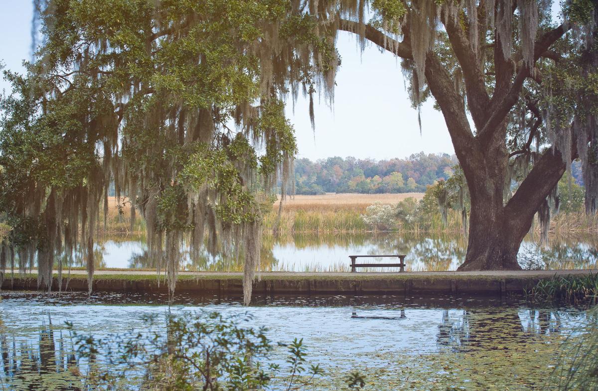 Dorchester County From urban to rural a thriving and diverse region