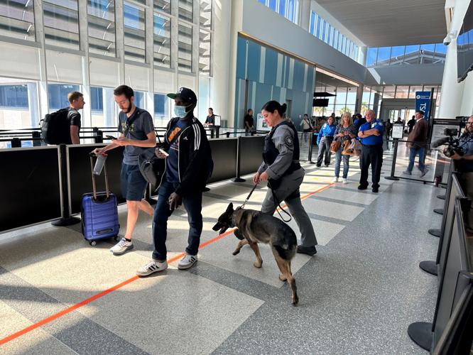 se permiten perros en el aeropuerto de charleston