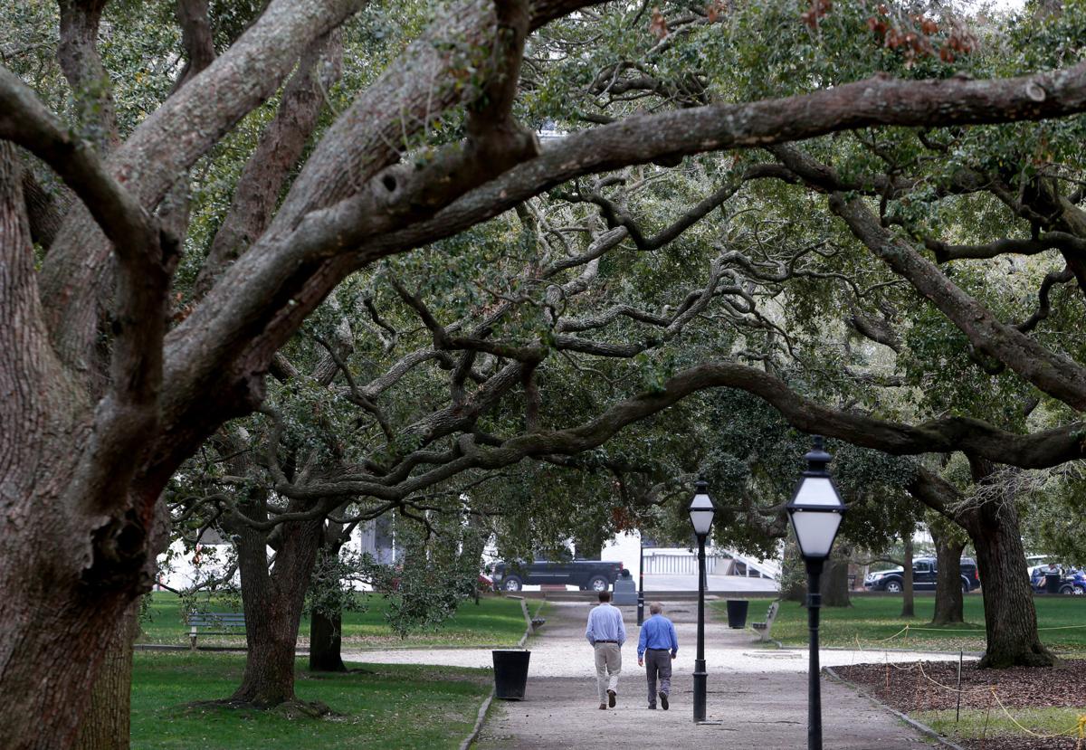 white point trees.jpg (copy) (copy)