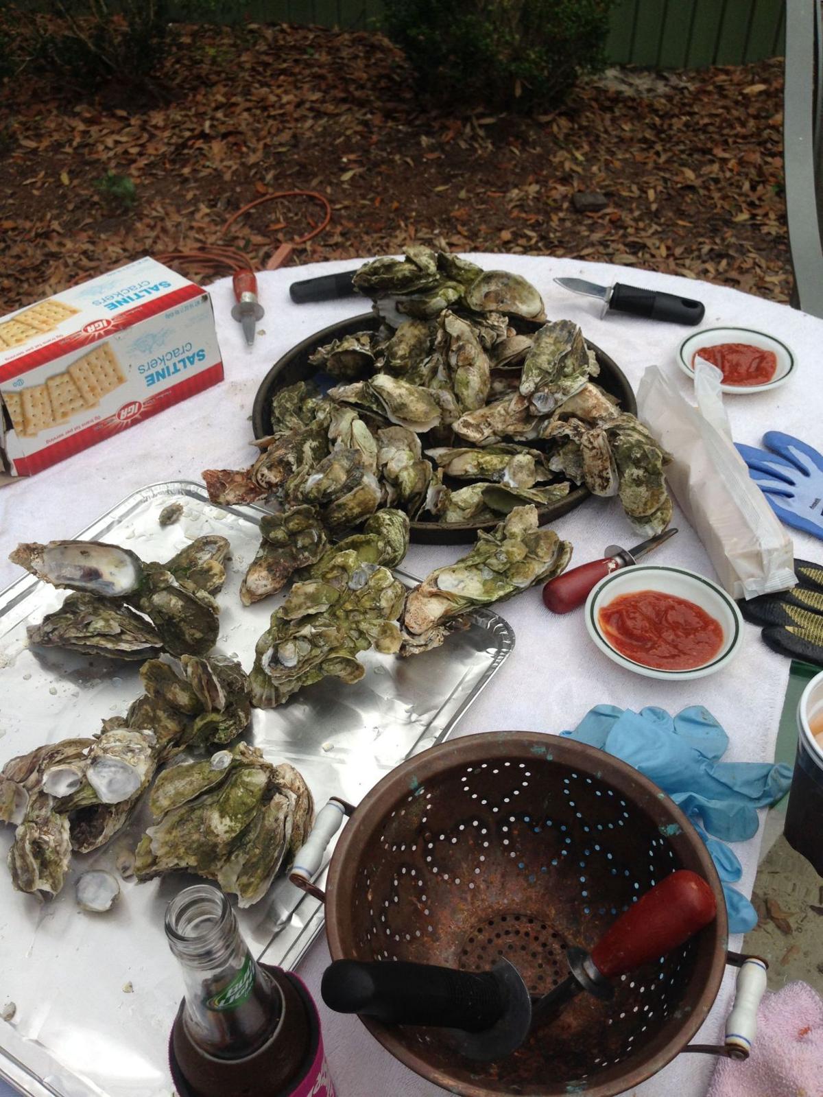 Lowcountry Oyster Traditions