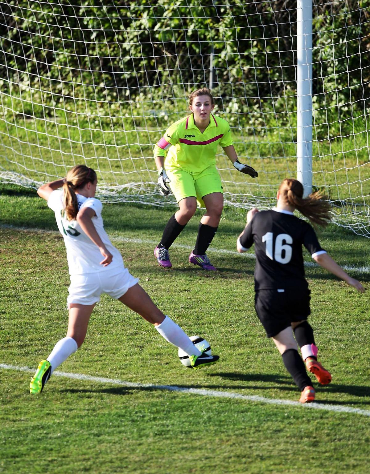 Academic Magnet blanks Andrews