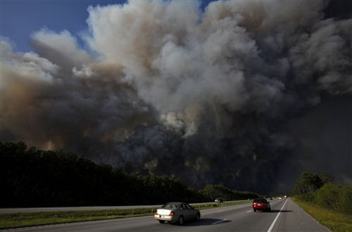 Myrtle Beach Wildfire