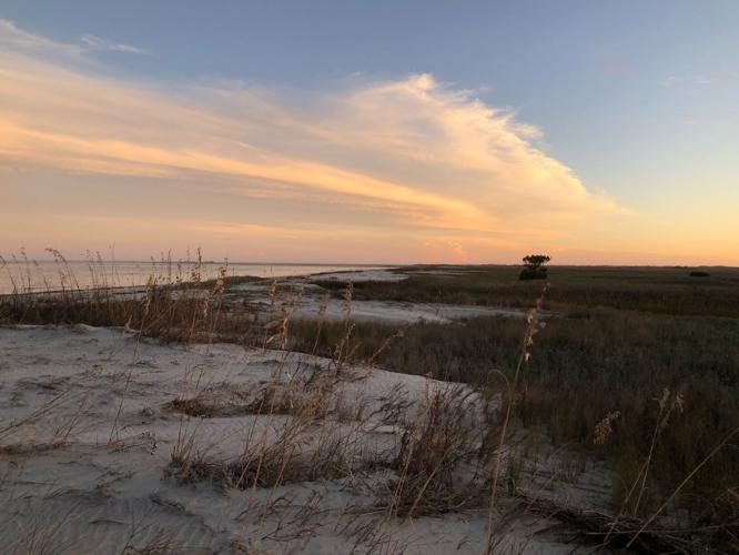 Exploring the Lowcountry Wild and wonderful Capers Island Local Attractions