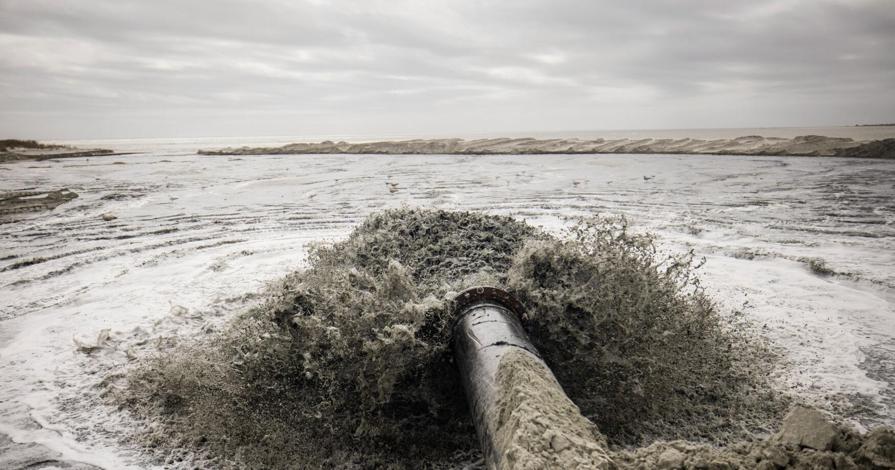 Sanctuary for seabirds gets more sand, Folly Beach to follow | News - Vimarsana News
