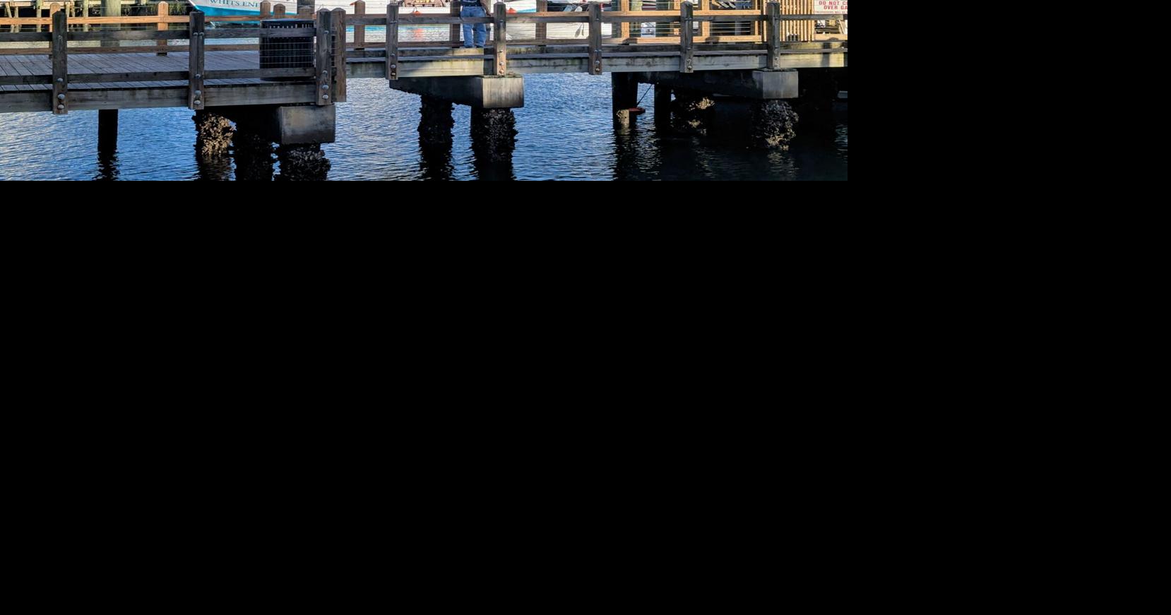 Congestion on Shem Creek: Town sets sights on illegal boaters