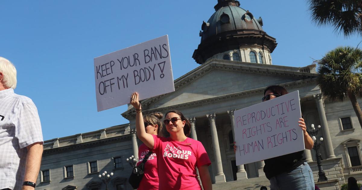 One abortion bill halted, another advances as SC Statehouse takes action ...