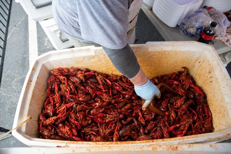 Gallery 2022 Rosewood Crawfish Festival back with shellfish, music