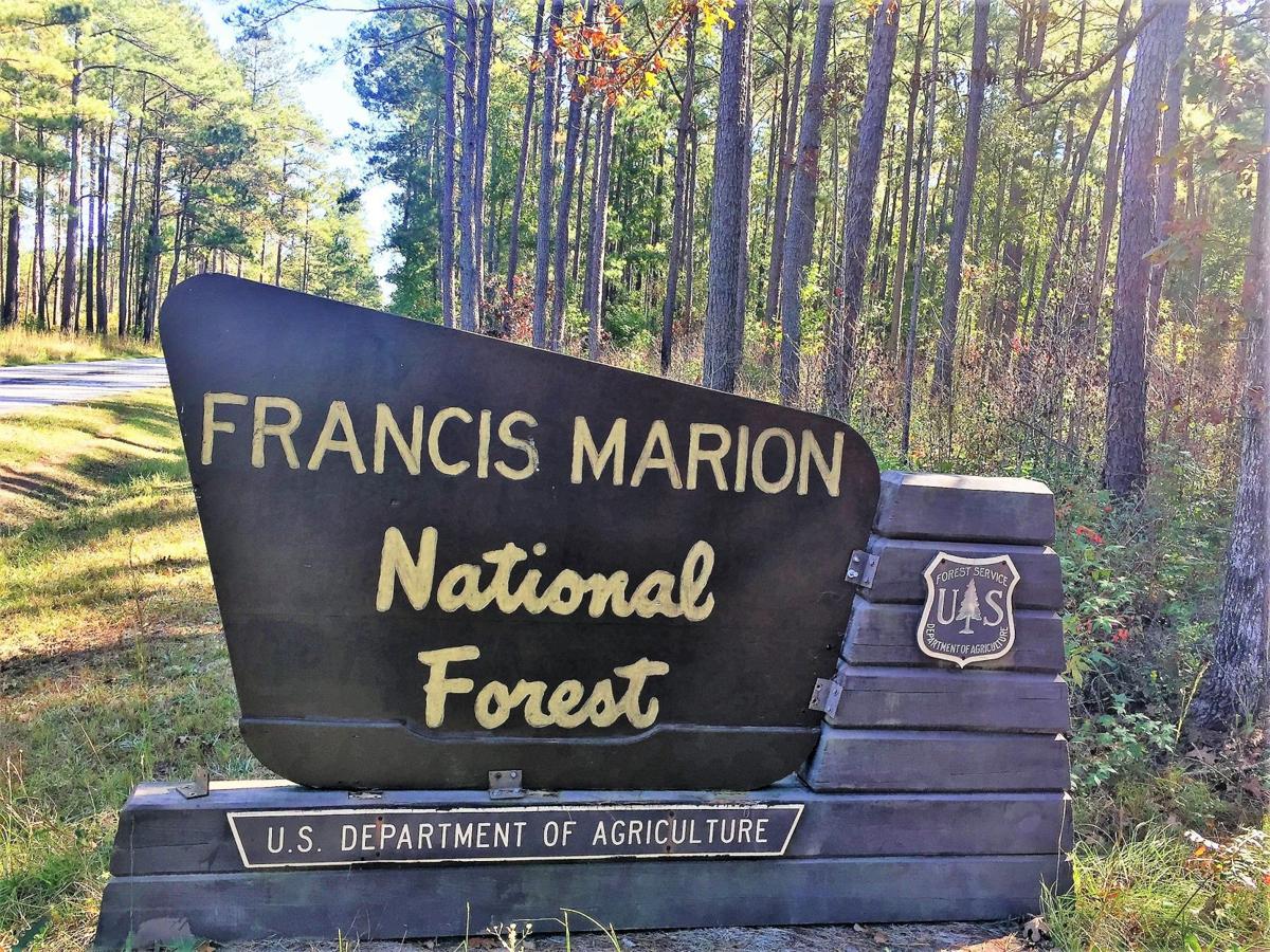 Francis Marion And Sumter National Forests Sign 14 Day Camping Stay Limit News Postandcourier Com