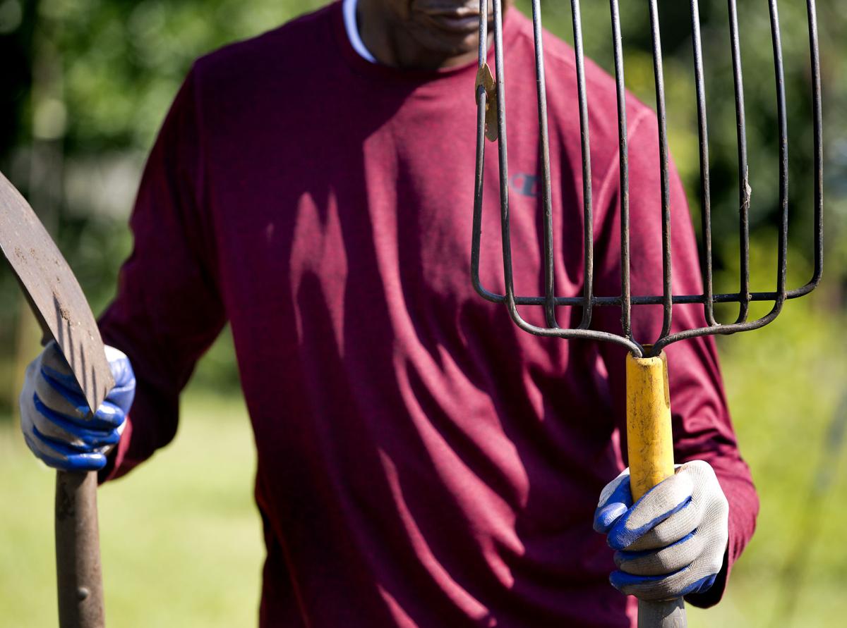 shovel and rake.jpg