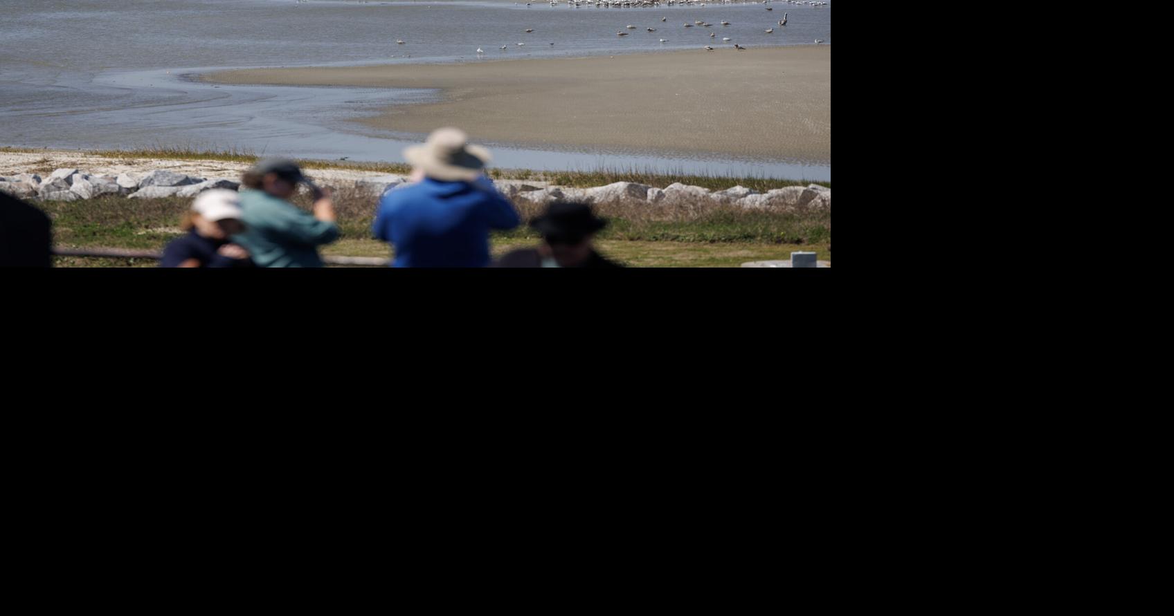 Keep open beach, safeguard the climate | Letters