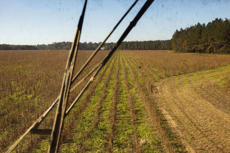 Photos: A day harvesting soybeans on Rizer Farms