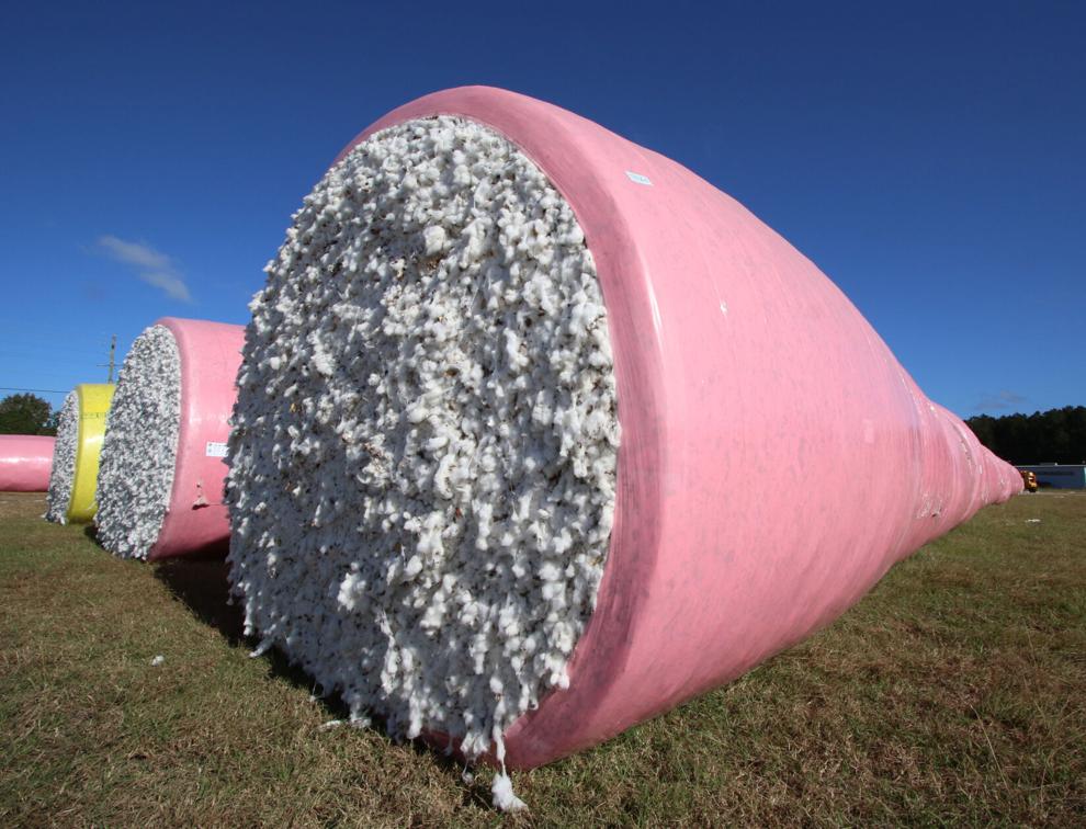 Historic SC cotton gin, once acclaimed, now a focus of criminal