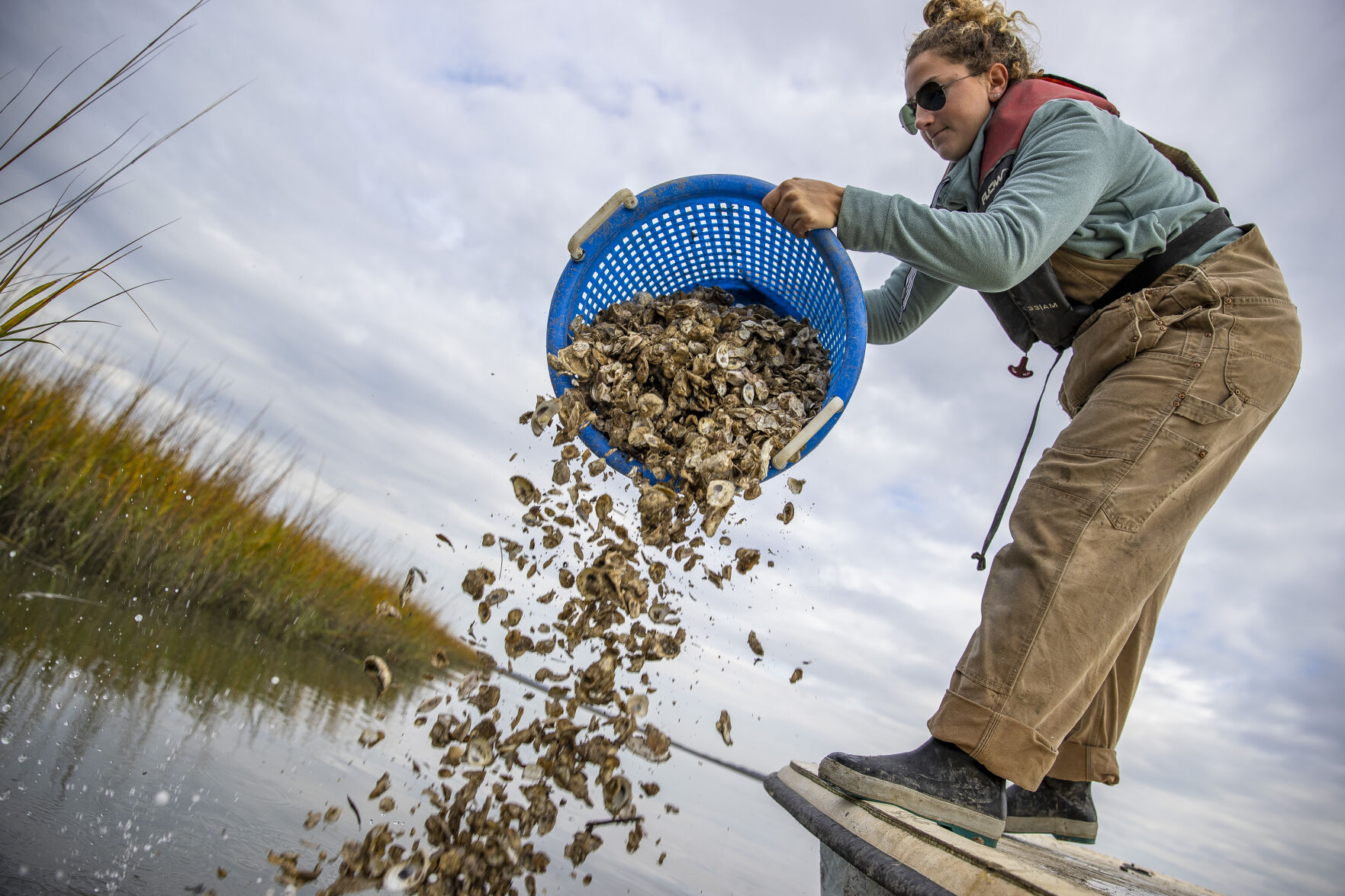 Planting More Oysters May Help Lowcountry Combat Rising Waters | SC ...