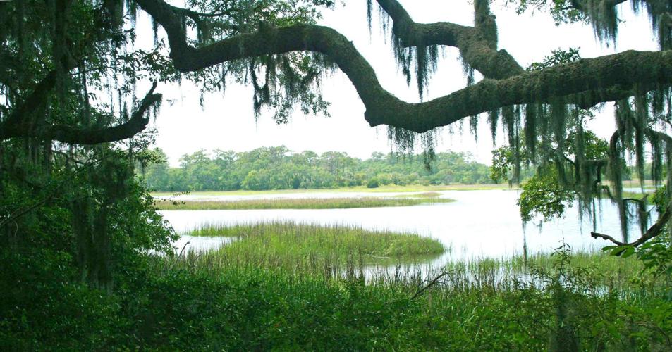 John's Island marsh in Charleston, SC