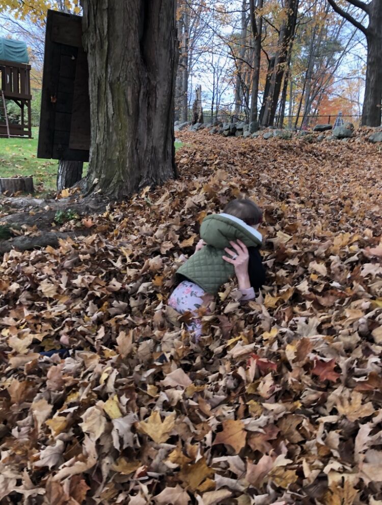 leaves munoz.jpg