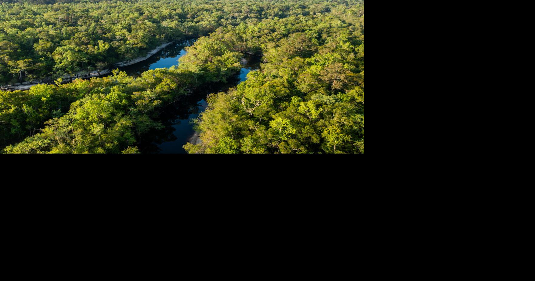 More than 4,600 aces of protected land in Horry County soon will be open to the public