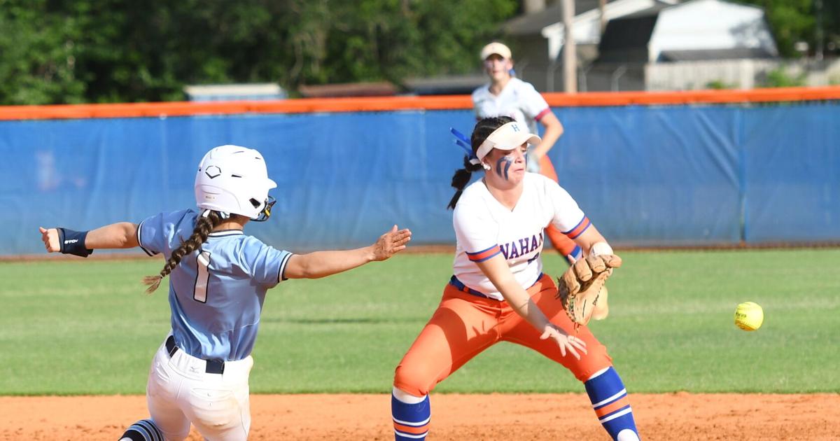 Hawks win Lower State Softball series