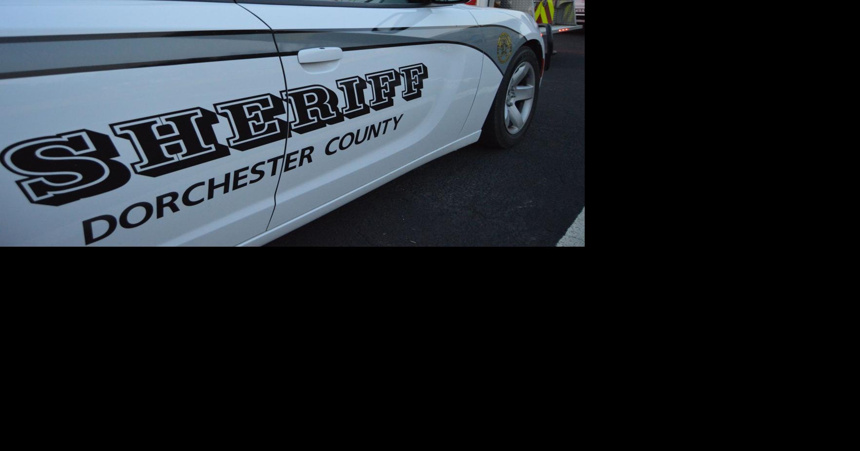 DCSO deputy demoted following K-9 death in late July heat | News ...