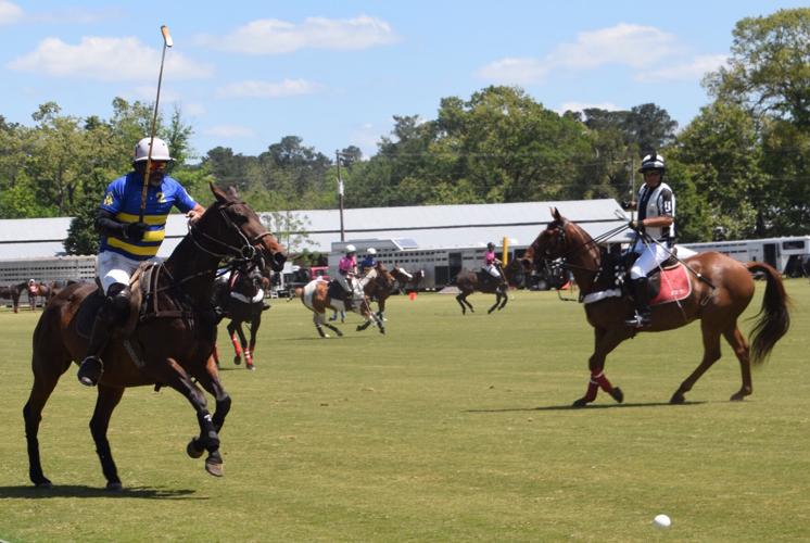 Sunday polo returns to historic Whitney Field in Aiken  3 (copy)